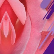 آتروفی واژن