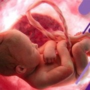 اطلاعاتی در خصوص سقط جنین