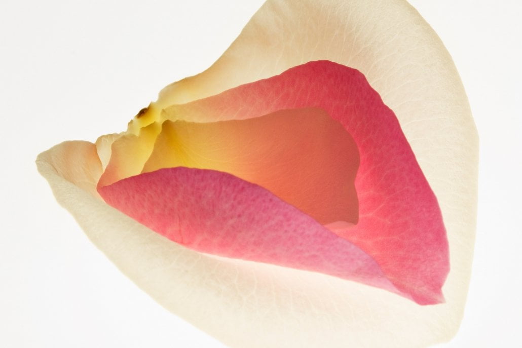 مراقبتهای پس از لابیاپلاستی