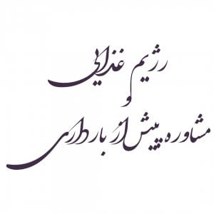 رژیم غذایی و مشاوره پیش از بارداری