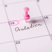 عدم تخمک گذاری