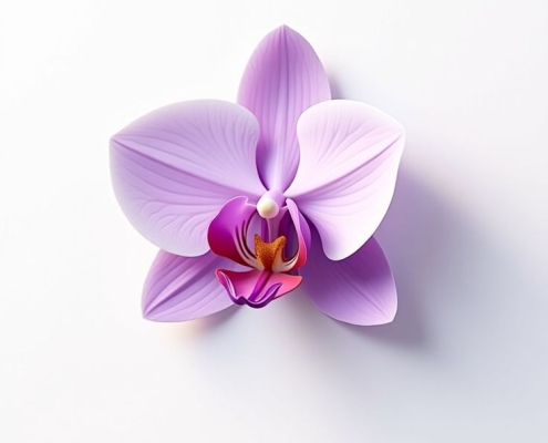 لابیاپلاستی با لیزر در کرج