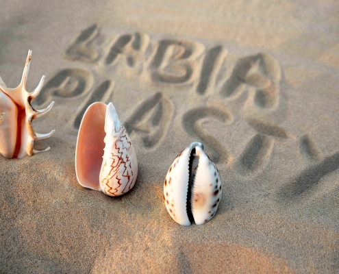 لابیاپلاستی با لیزر CO2 فرکشنال در کرج